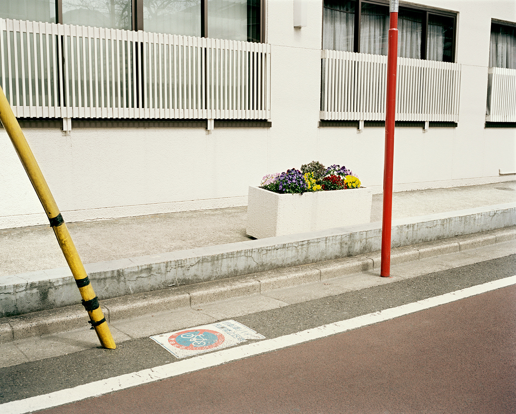 Flowers | Shimokitazawa