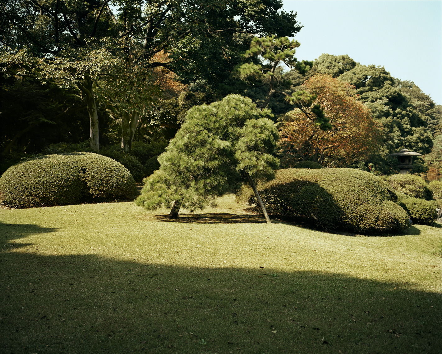 Rikugien Garden | Tokyo