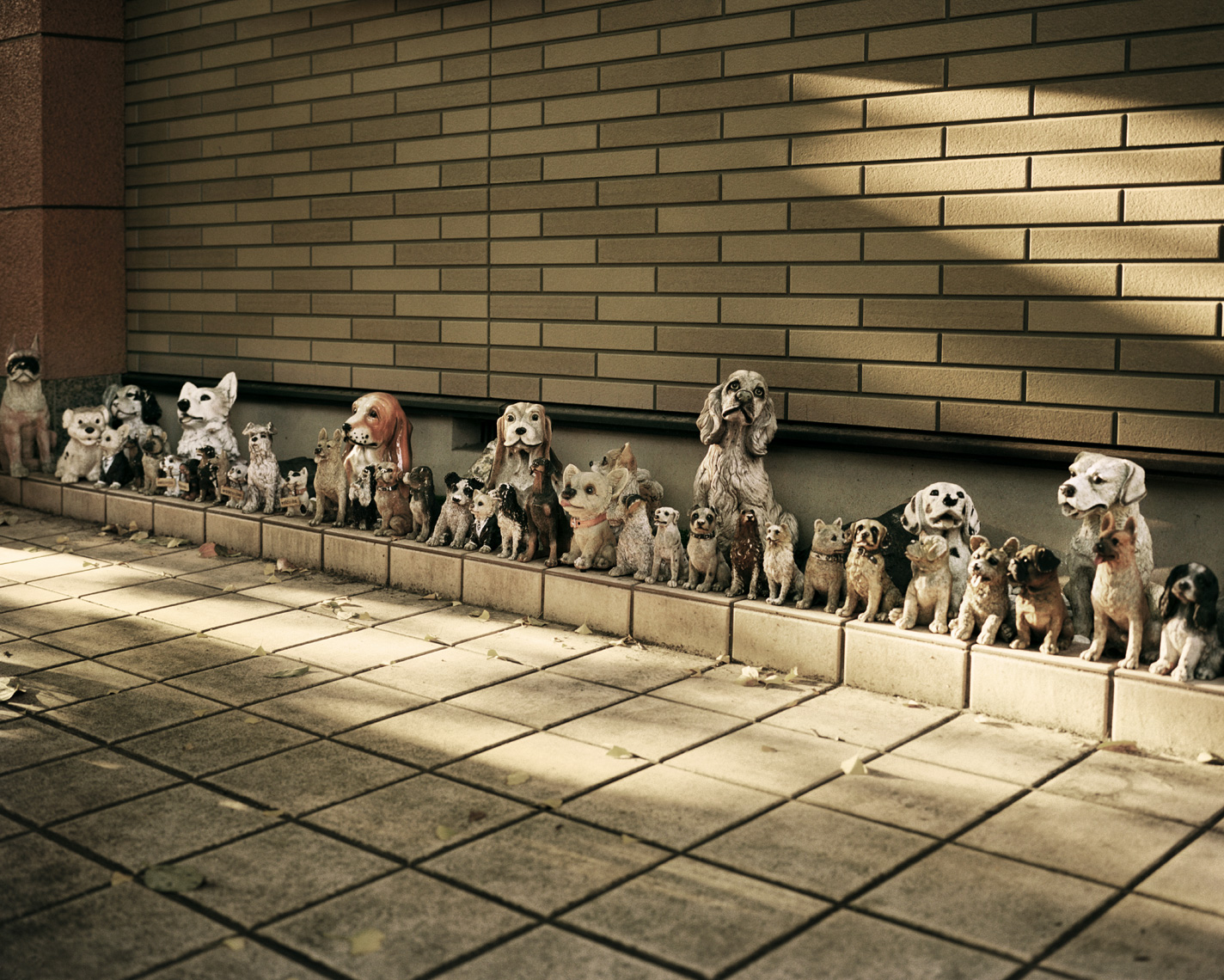 Dog Statues | Takao