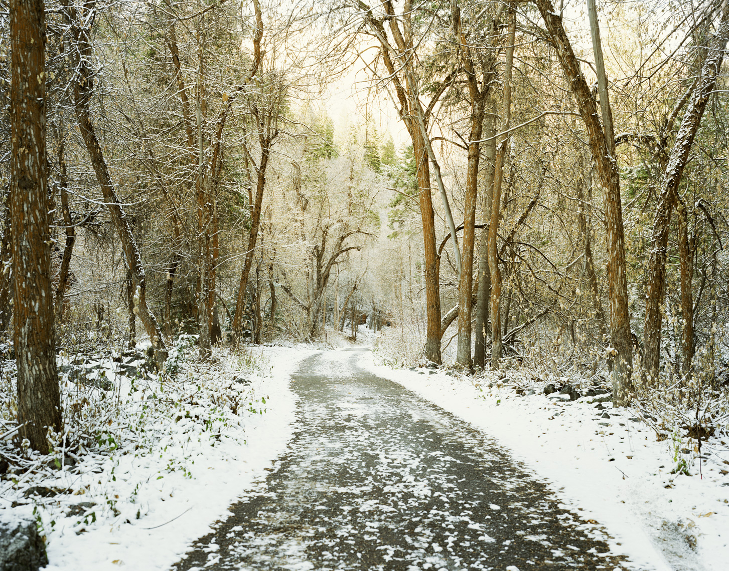 A Snowy Path | Outside of Salt Lake City
