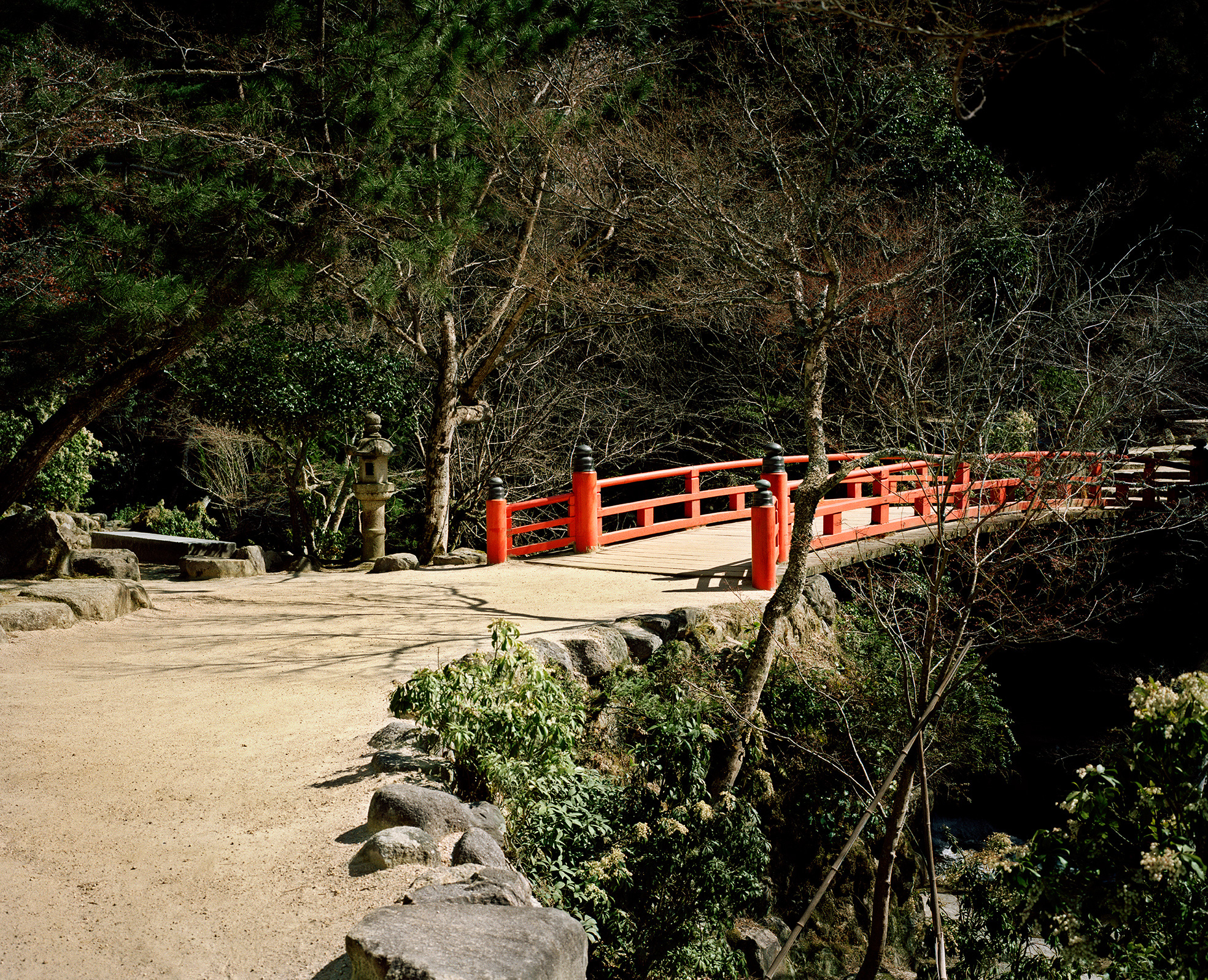 Bridge | Miyajima