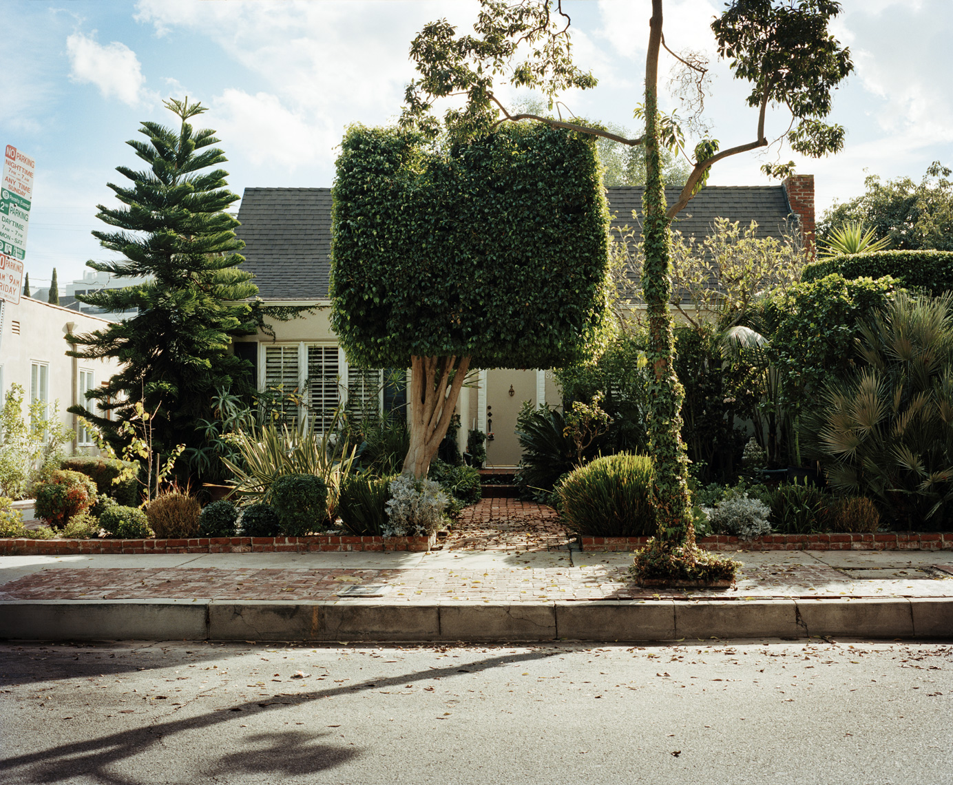 Shrubbery | Los Angeles