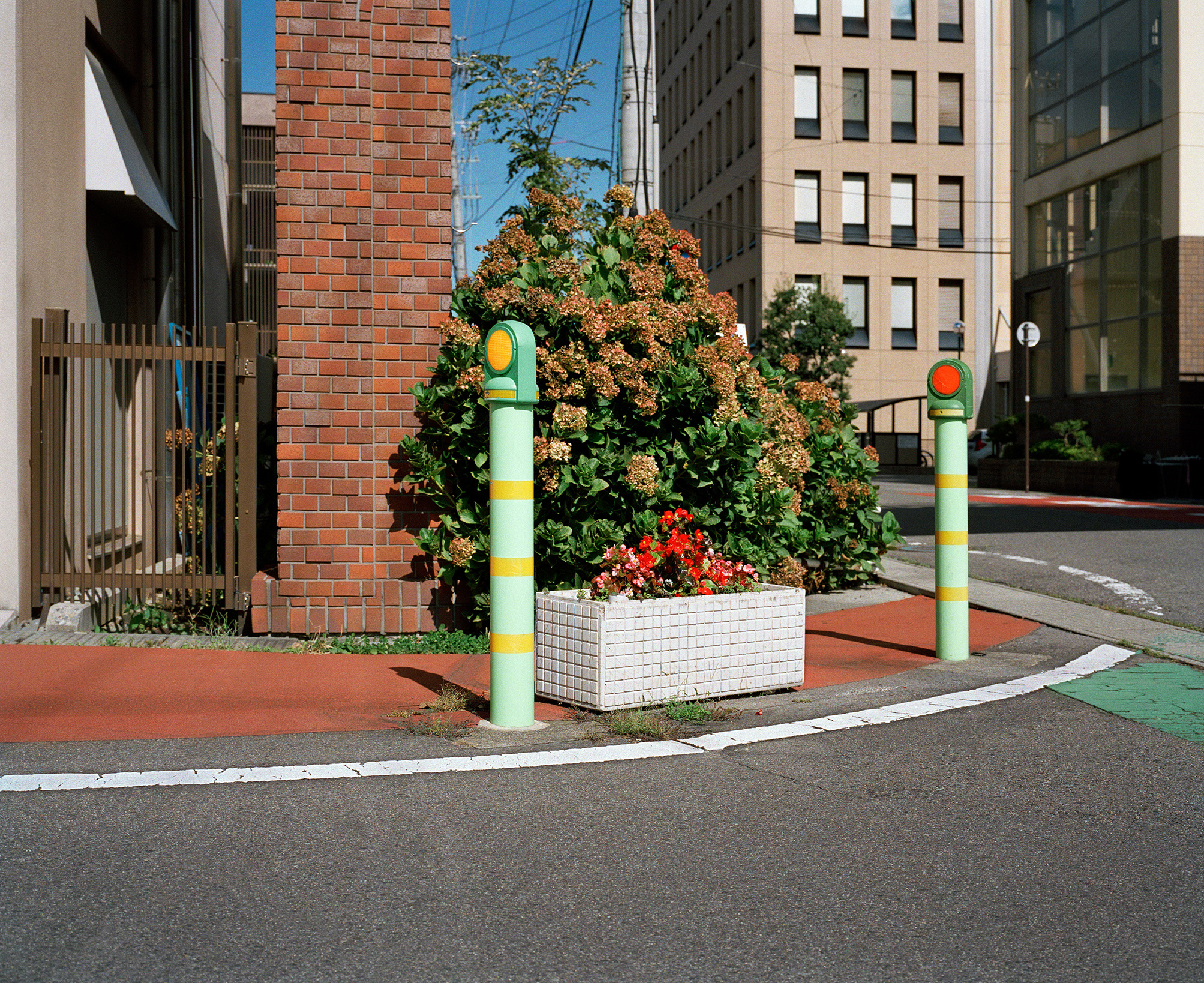 Corner Flowers | Nagano