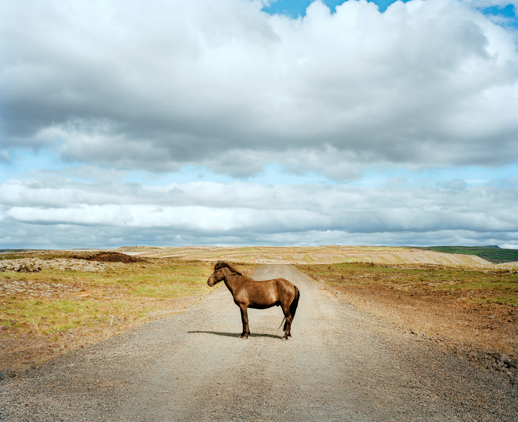 One Horse | Route 35