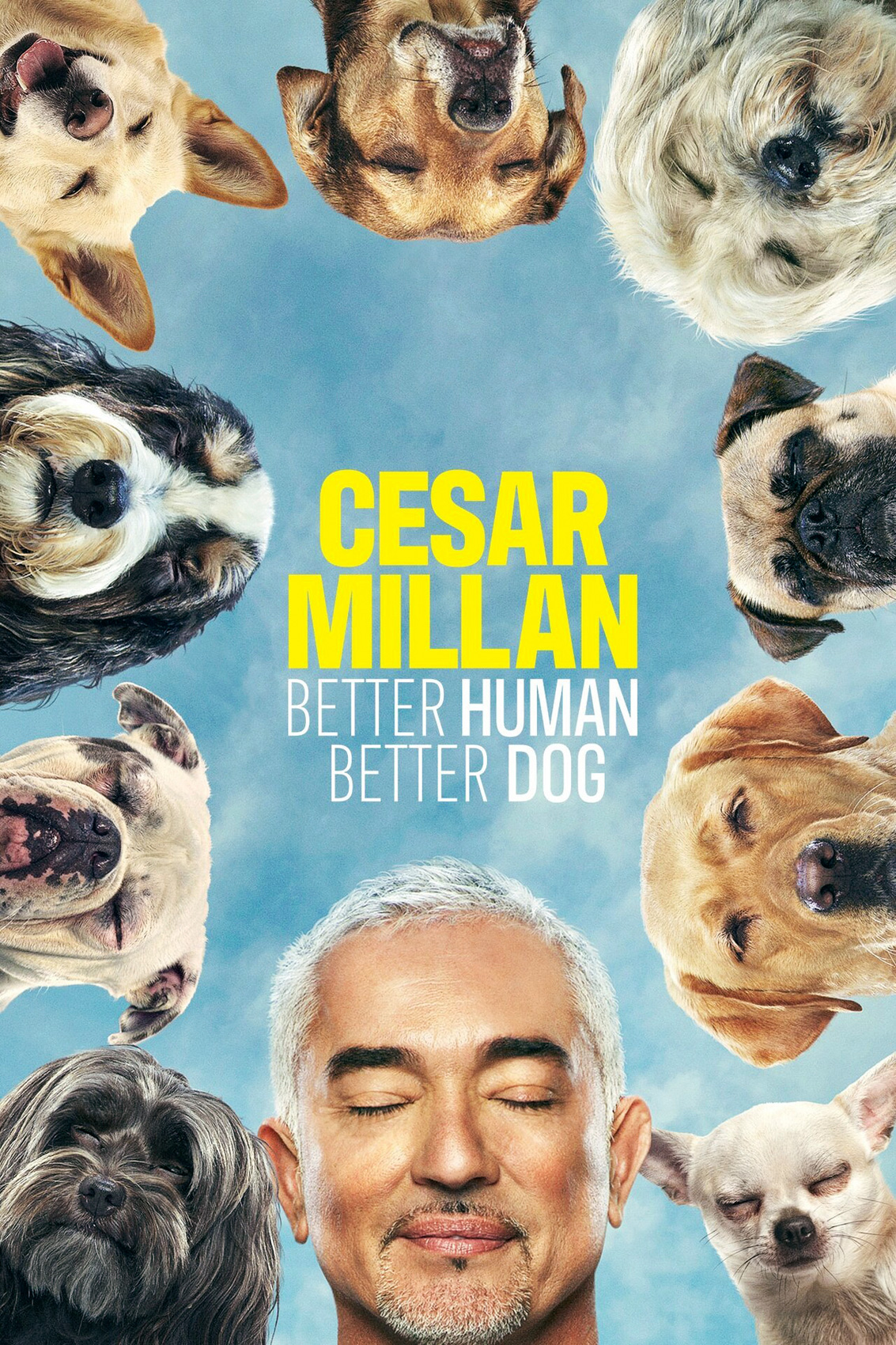 Cesar Millan Better Human Better Dog | Nat Geo