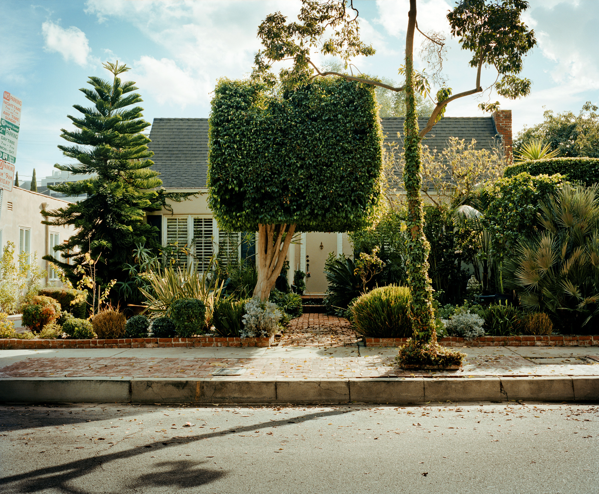Shrubbery | Los Angeles