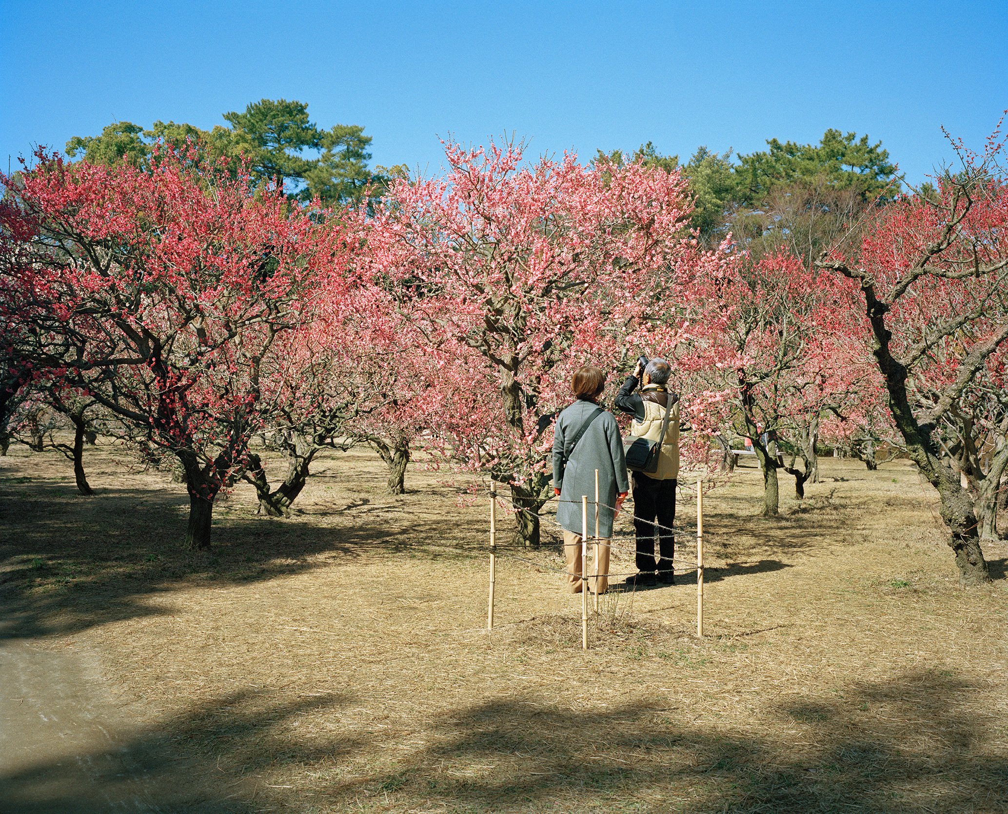 Sightseeing | Takamatsu